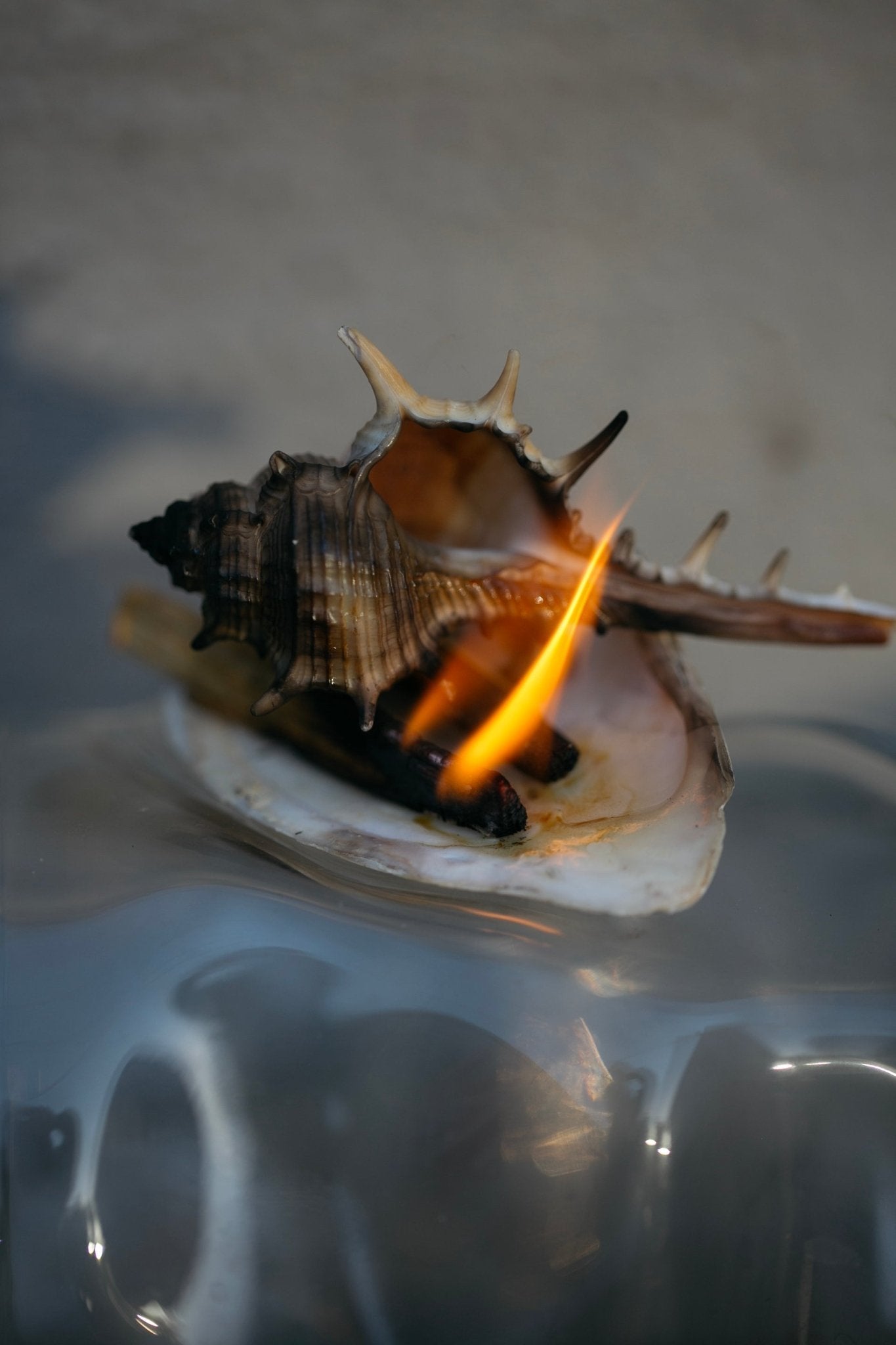 Seele Celtic Sea Salt® Tallow Scrub-zoom-7