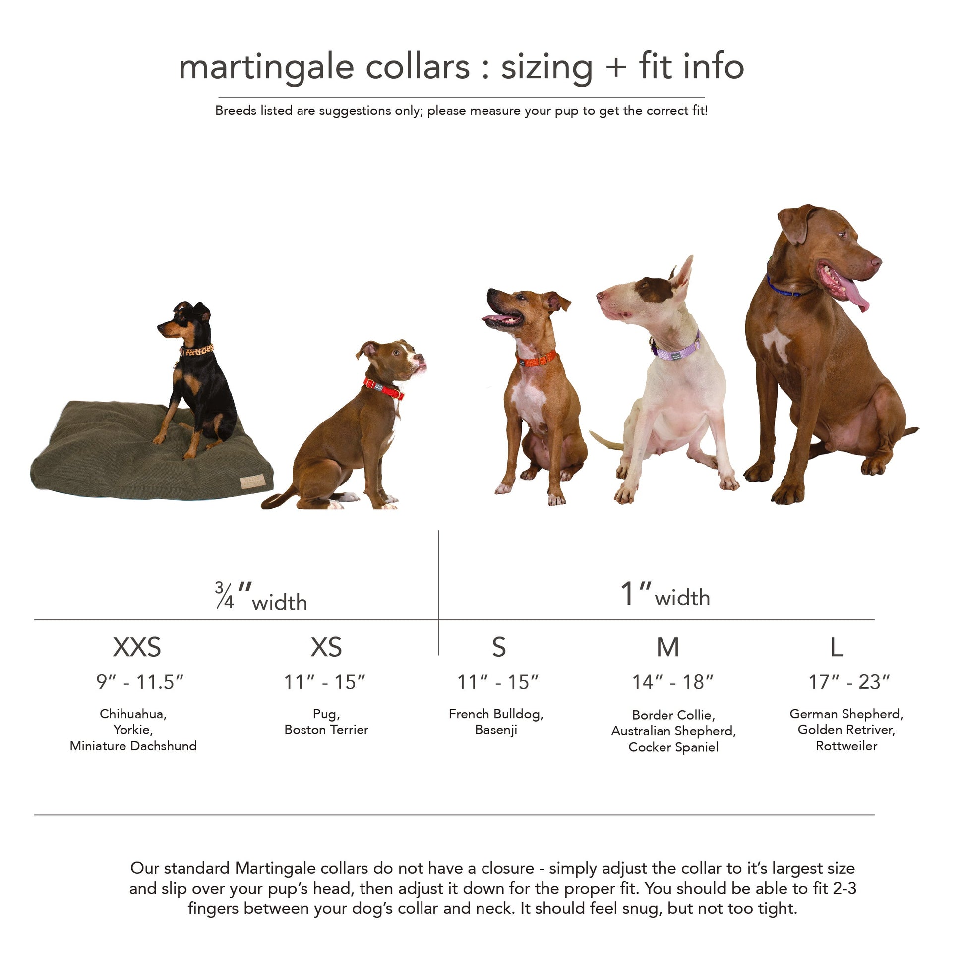 Martingale Collar | Rose + Grape (Limited Edition)-4