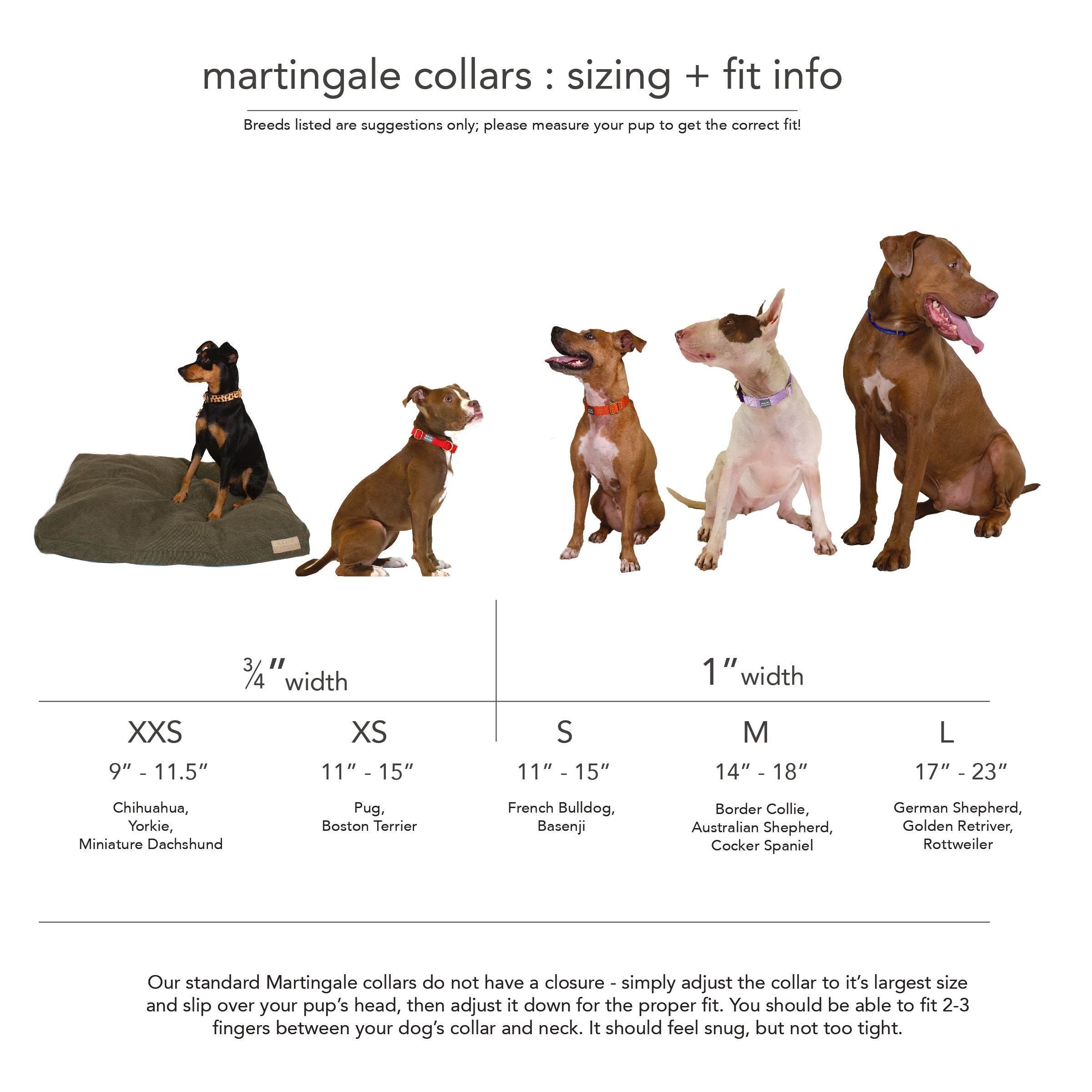 Martingale Collar | Rose + Grape (Limited Edition)-zoom-4