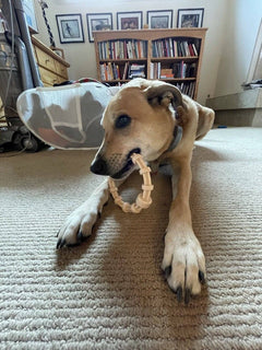 Chicken Flavored Dog Teething Ring - Aware House