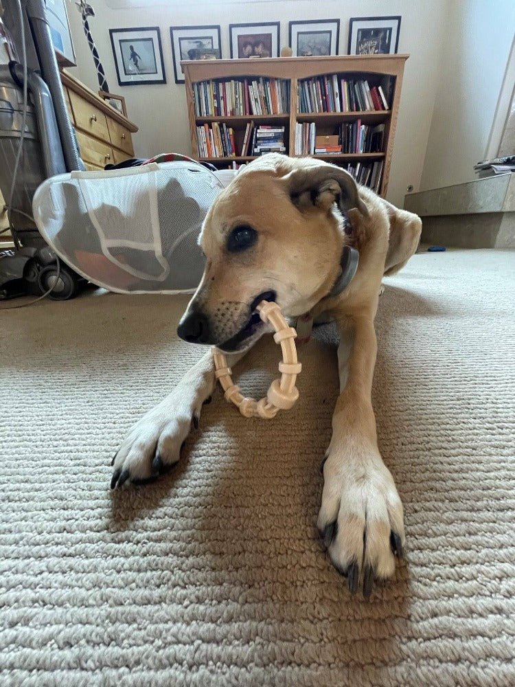 Chicken Flavored Dog Teething Ring - Aware House
