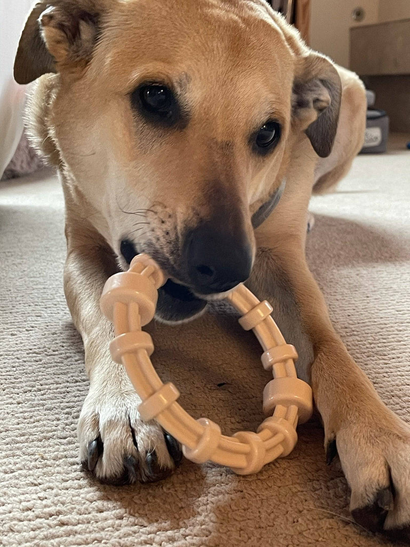 Chicken Flavored Dog Teething Ring-zoom-