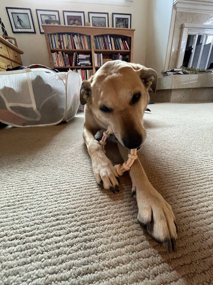 Chicken Flavored Dog Teething Ring - Aware House