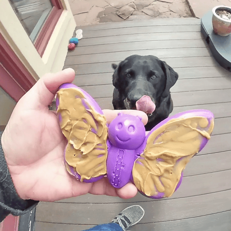 Butterfly Nylon Chew & Enrichment Toy-zoom-