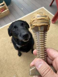 Honey Bone Dental Tower Nylon Chew Toy - Aware House