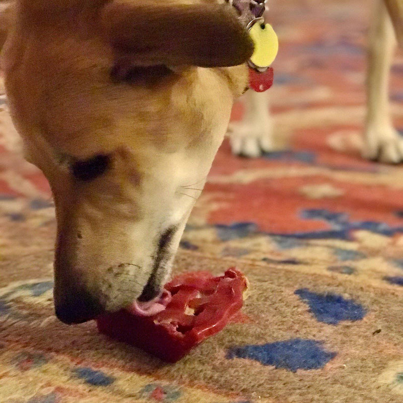 Cherry Pie Nylon Dog Chew Toy-zoom-