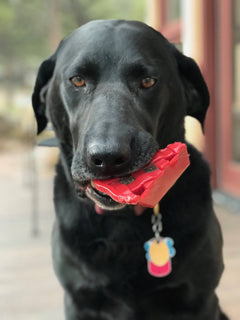 Cherry Pie Nylon Dog Chew Toy - Aware House