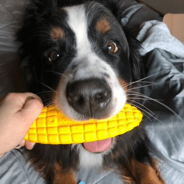 Corn on the Cob Nylon Dog Toy for Aggressive Chewers | USA Made | SodaPup-8
