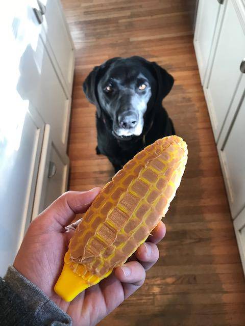 Corn on the Cob Nylon Dog Toy for Aggressive Chewers | USA Made | SodaPup-4