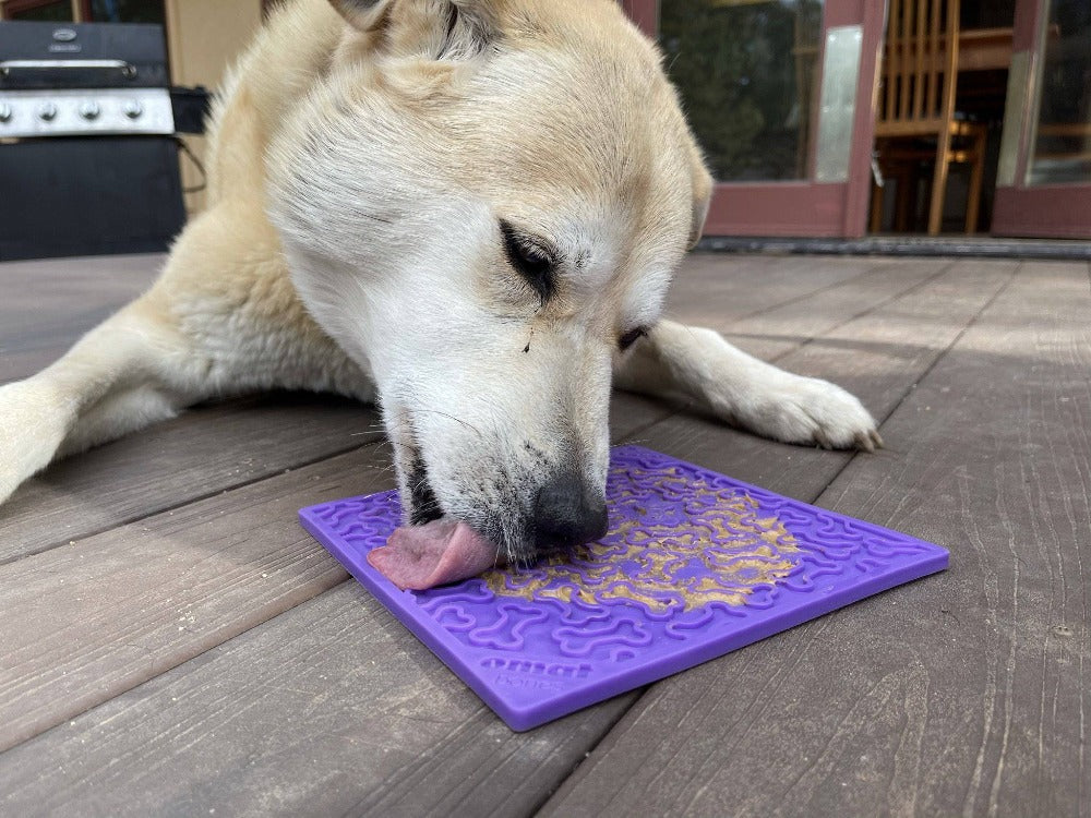 Bones eMat - Enrichment Lick Mat for Dogs and Cats | eMat Enrichment Toy for Anxiety Relief | SodaPup-9