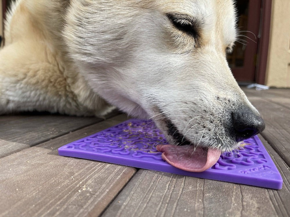 Bones eMat - Enrichment Lick Mat for Dogs and Cats | eMat Enrichment Toy for Anxiety Relief | SodaPup-6