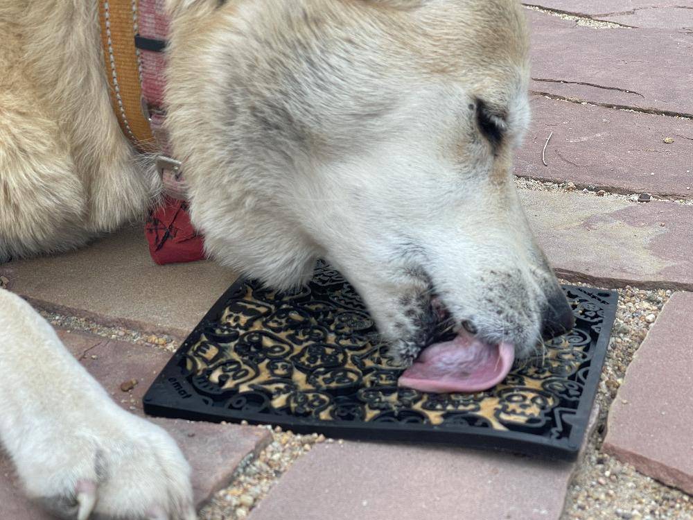 Zombie eMat - Enrichment Lick Mat for Dogs and Cats | Halloween Skull Design | SodaPup-zoom-9
