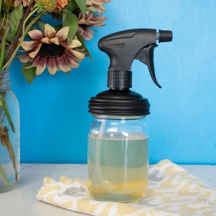 reCAP® Mason Jar Sprayer | Regular Mouth-2