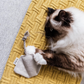 Boba & Vespa Stingray Cat Toy