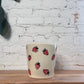 Strawberry Planter Pot