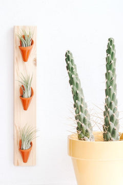 Triple Ceramic Wall Planter - Aware House