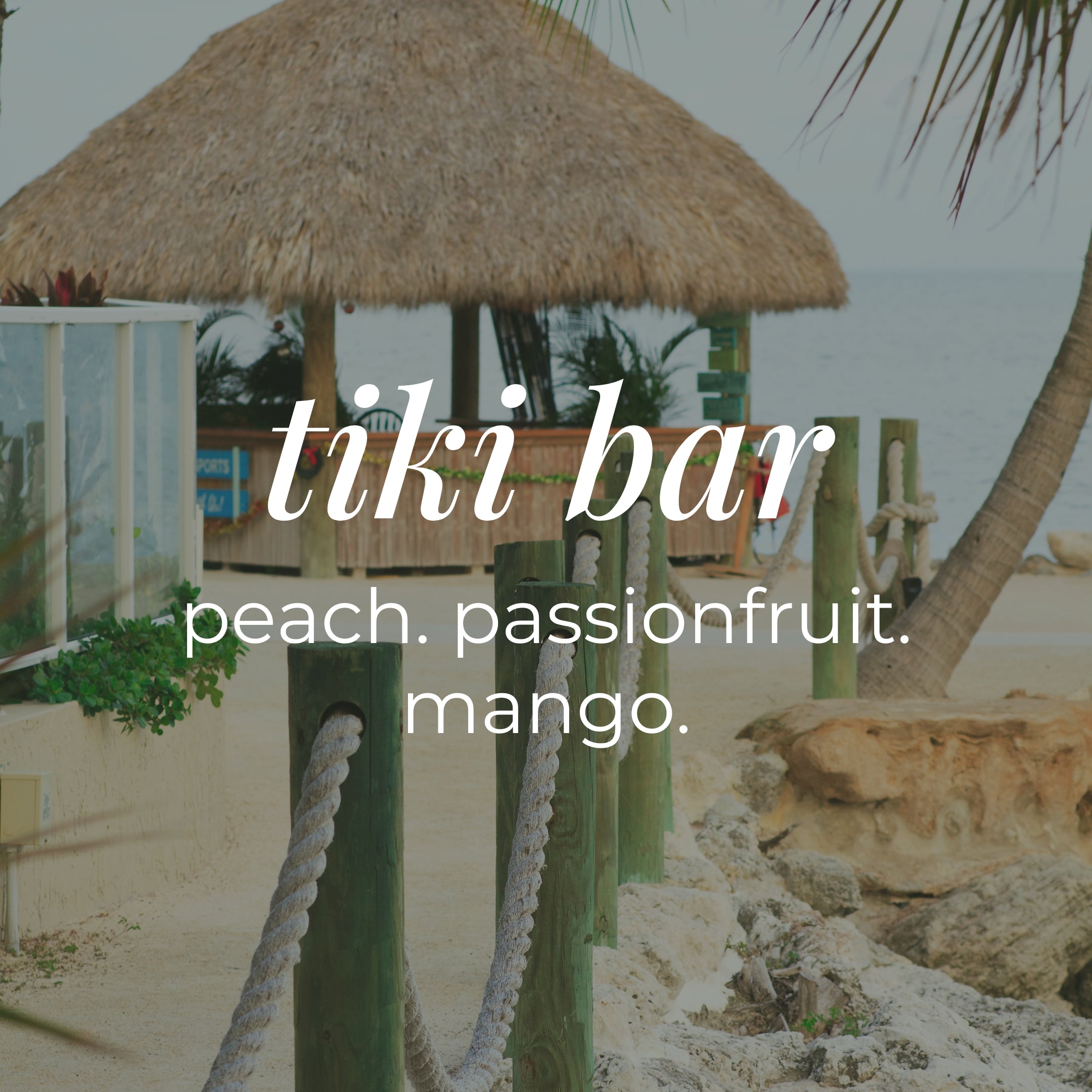 Summer Car Diffusers-zoom-4