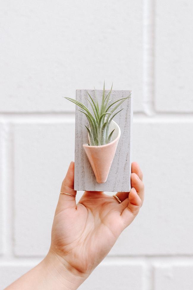 Tiny Ceramic Wall Planter - Aware House