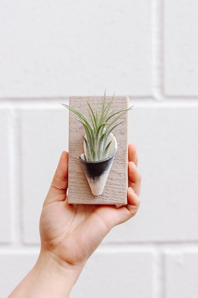 Tiny Ceramic Wall Planter-zoom-