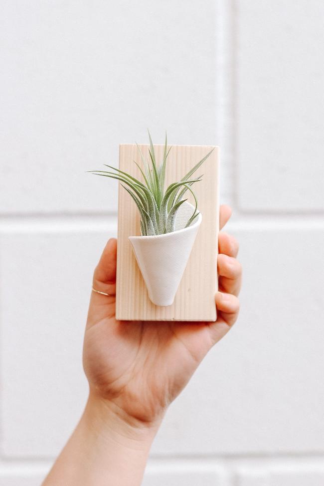 Tiny Ceramic Wall Planter - Aware House