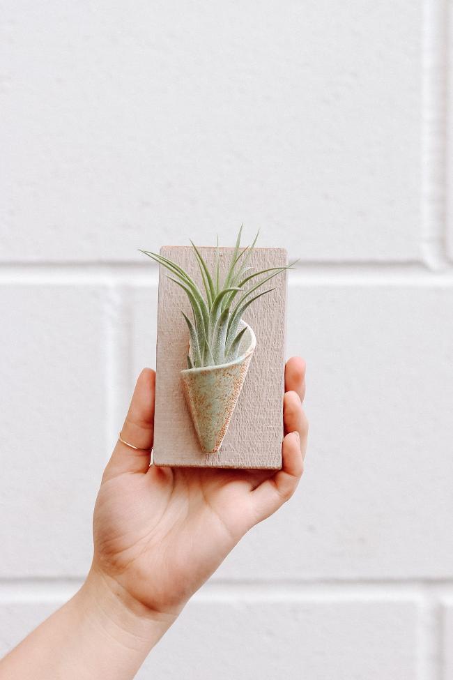 Tiny Ceramic Wall Planter-zoom-