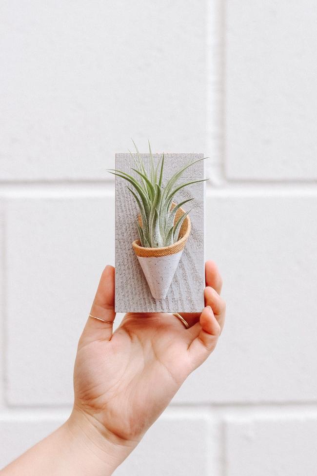 Tiny Ceramic Wall Planter - Aware House