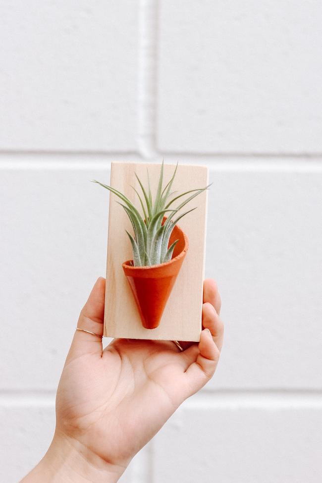 Tiny Ceramic Wall Planter - Aware House