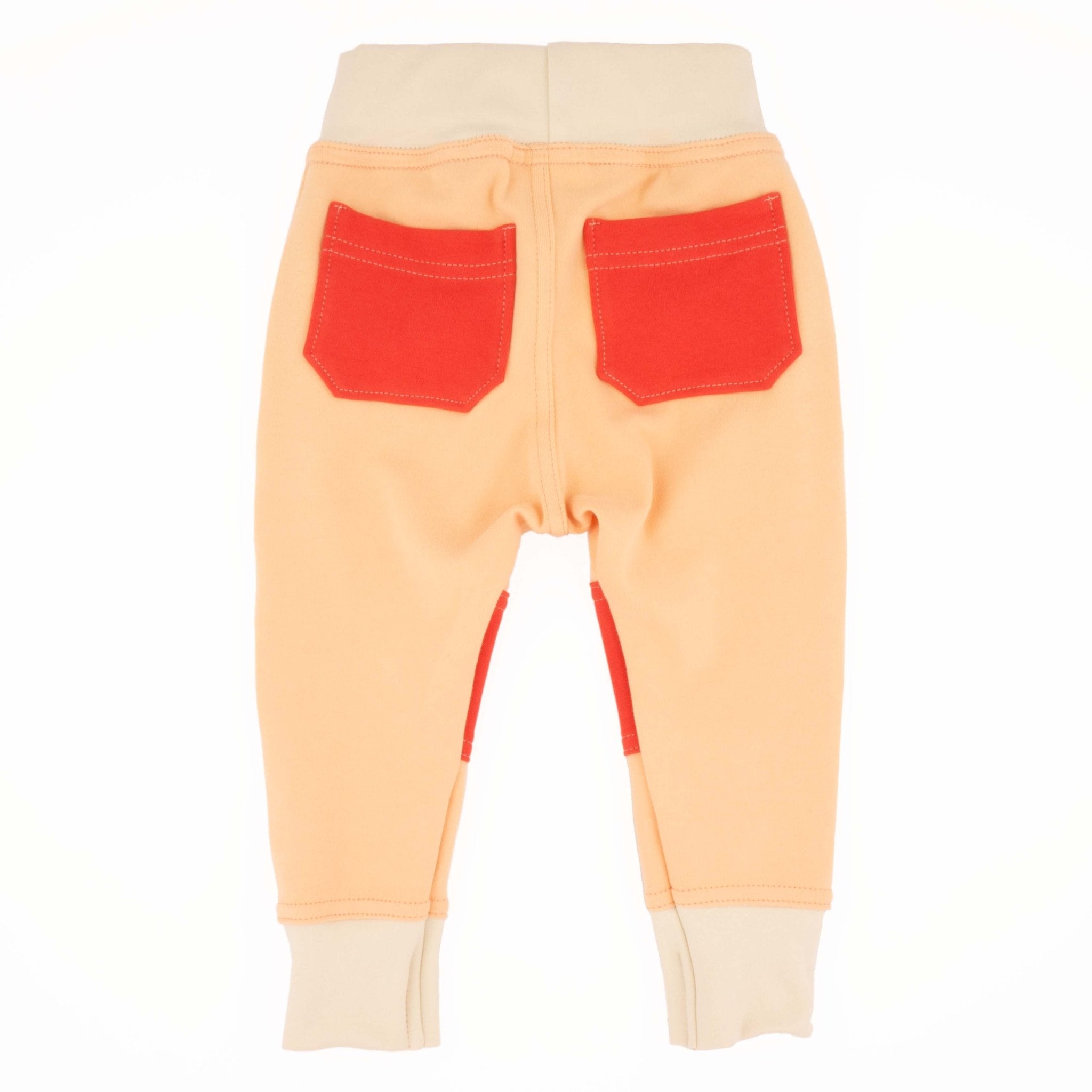 Toddler Colorblock Joggers | Soft Organic Cotton Joggers for Toddlers - Aware House