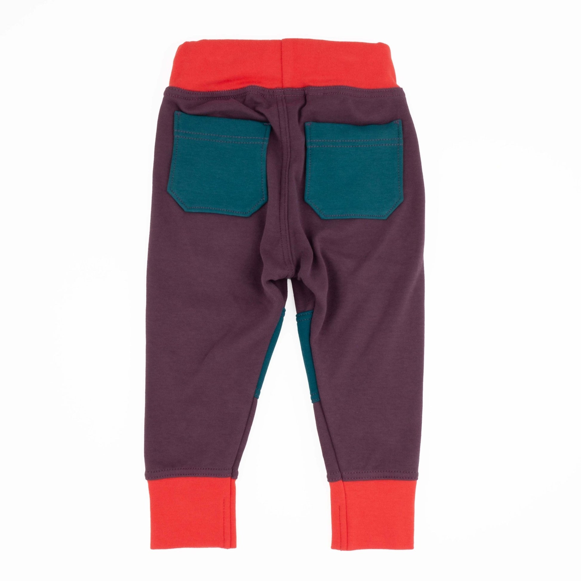 Toddler Colorblock Joggers | Soft Organic Cotton Joggers for Toddlers - Aware House