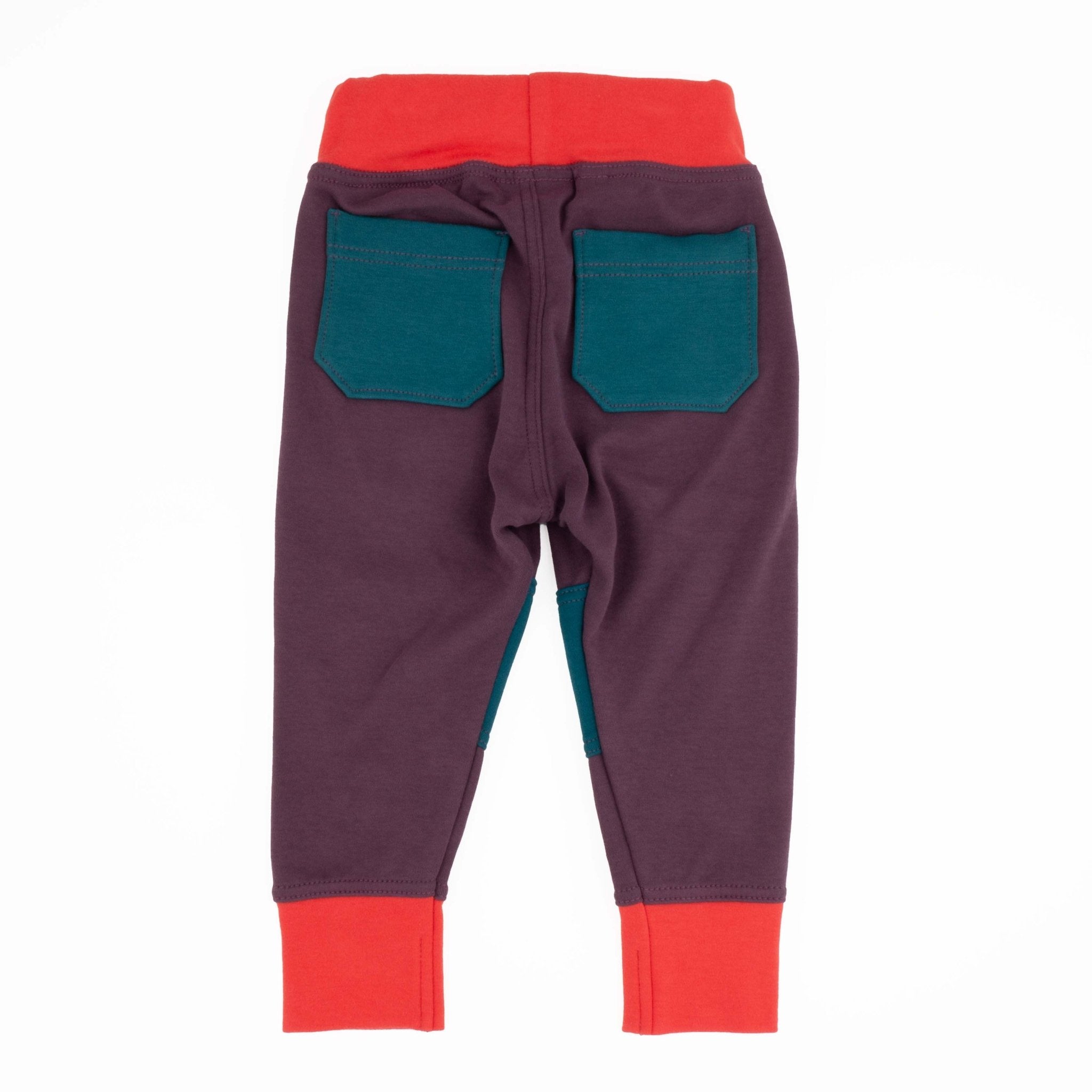 Toddler Colorblock Joggers | Soft Organic Cotton Joggers for Toddlers - Aware House