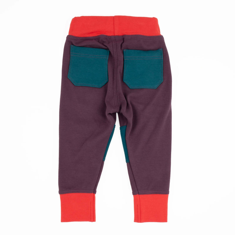 Toddler Colorblock Joggers | Soft Organic Cotton Joggers for Toddlers-zoom-