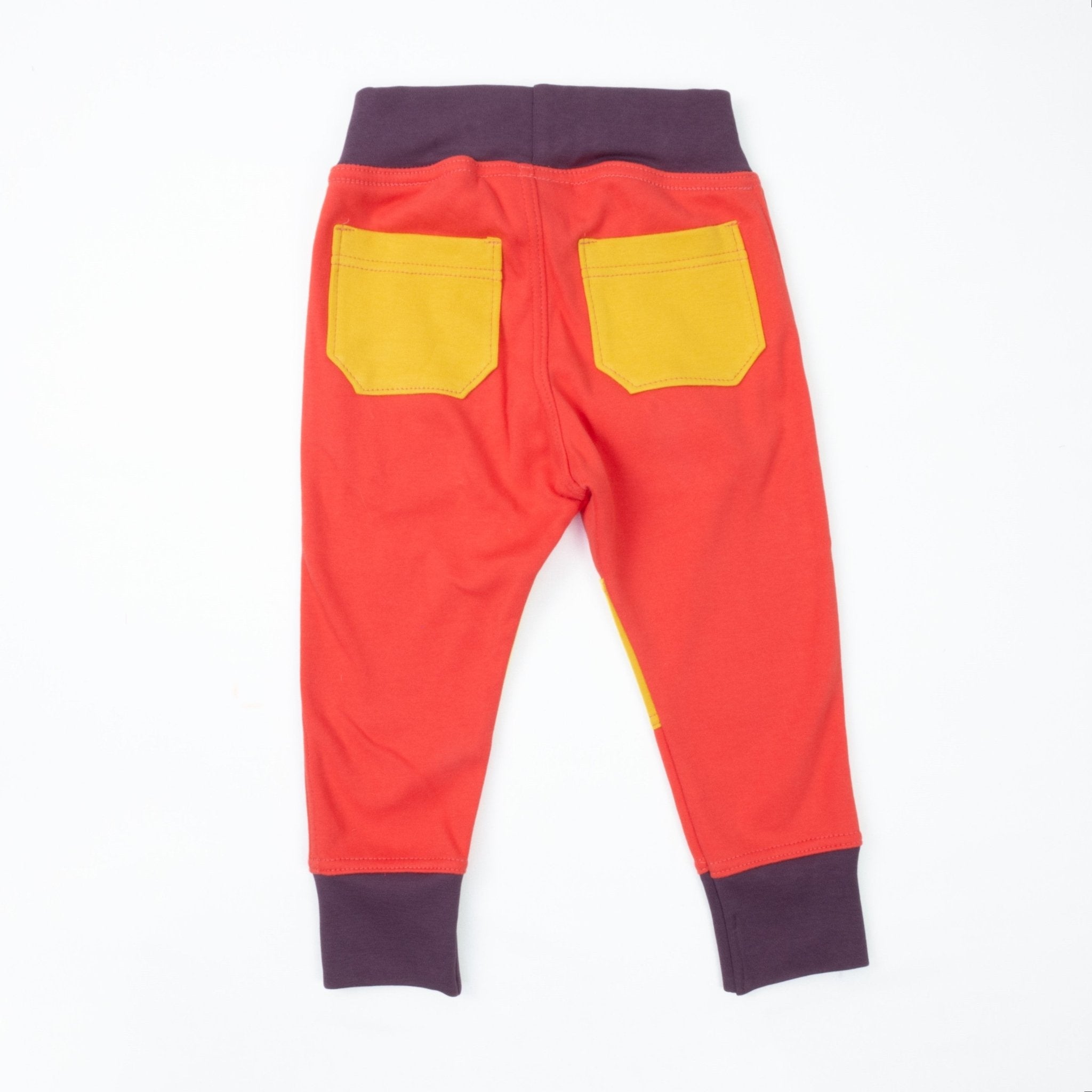 Toddler Colorblock Joggers | Soft Organic Cotton Joggers for Toddlers - Aware House