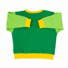 Toddler Colorblock Sweatshirt | Soft Organic Cotton Sweatshirt with Bold Colorblocking - Aware House