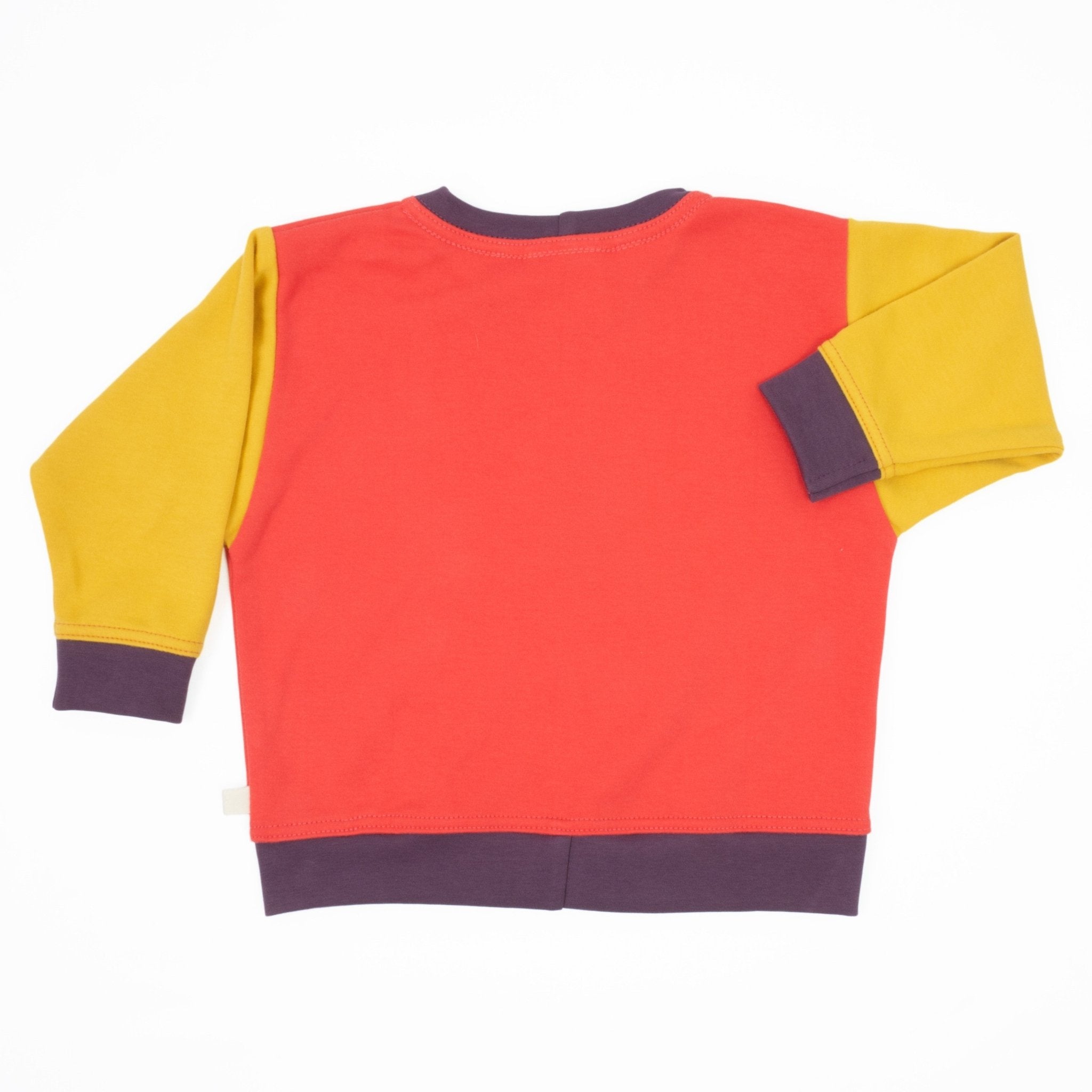 Toddler Colorblock Sweatshirt | Soft Organic Cotton Sweatshirt with Bold Colorblocking - Aware House