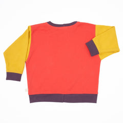 Toddler Colorblock Sweatshirt | Soft Organic Cotton Sweatshirt with Bold Colorblocking - Aware House