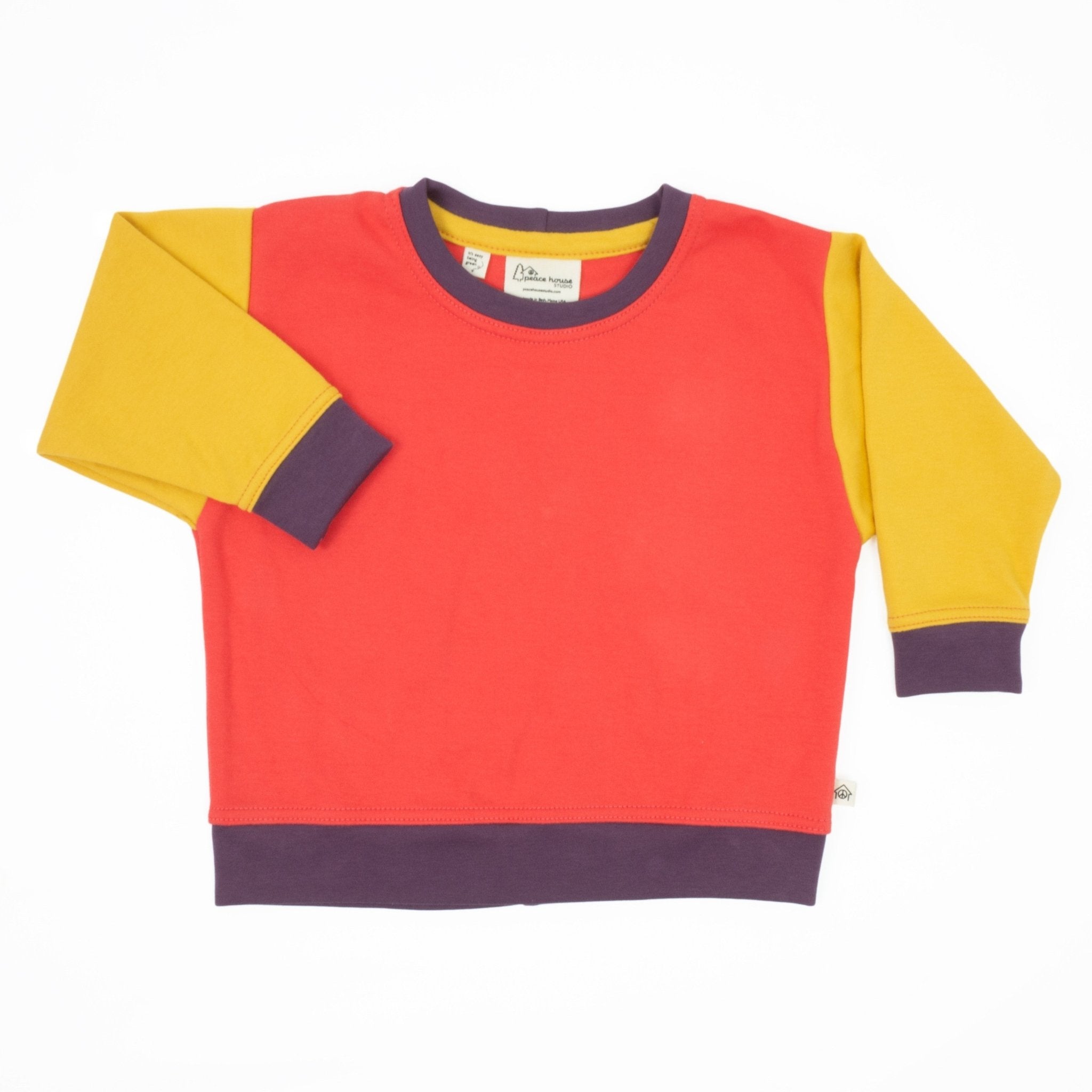 Toddler Colorblock Sweatshirt | Soft Organic Cotton Sweatshirt with Bold Colorblocking - Aware House