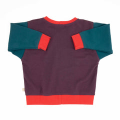 Toddler Colorblock Sweatshirt | Soft Organic Cotton Sweatshirt with Bold Colorblocking - Aware House