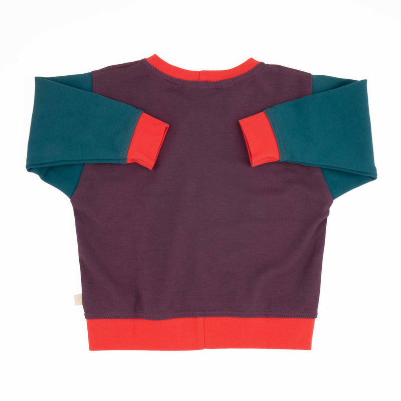 Toddler Colorblock Sweatshirt | Soft Organic Cotton Sweatshirt with Bold Colorblocking-zoom-