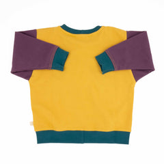 Toddler Colorblock Sweatshirt | Soft Organic Cotton Sweatshirt with Bold Colorblocking - Aware House
