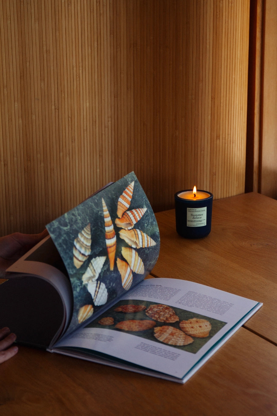 Vanilla Nectar & Peru Balsam Large Tallow Candle-zoom-3