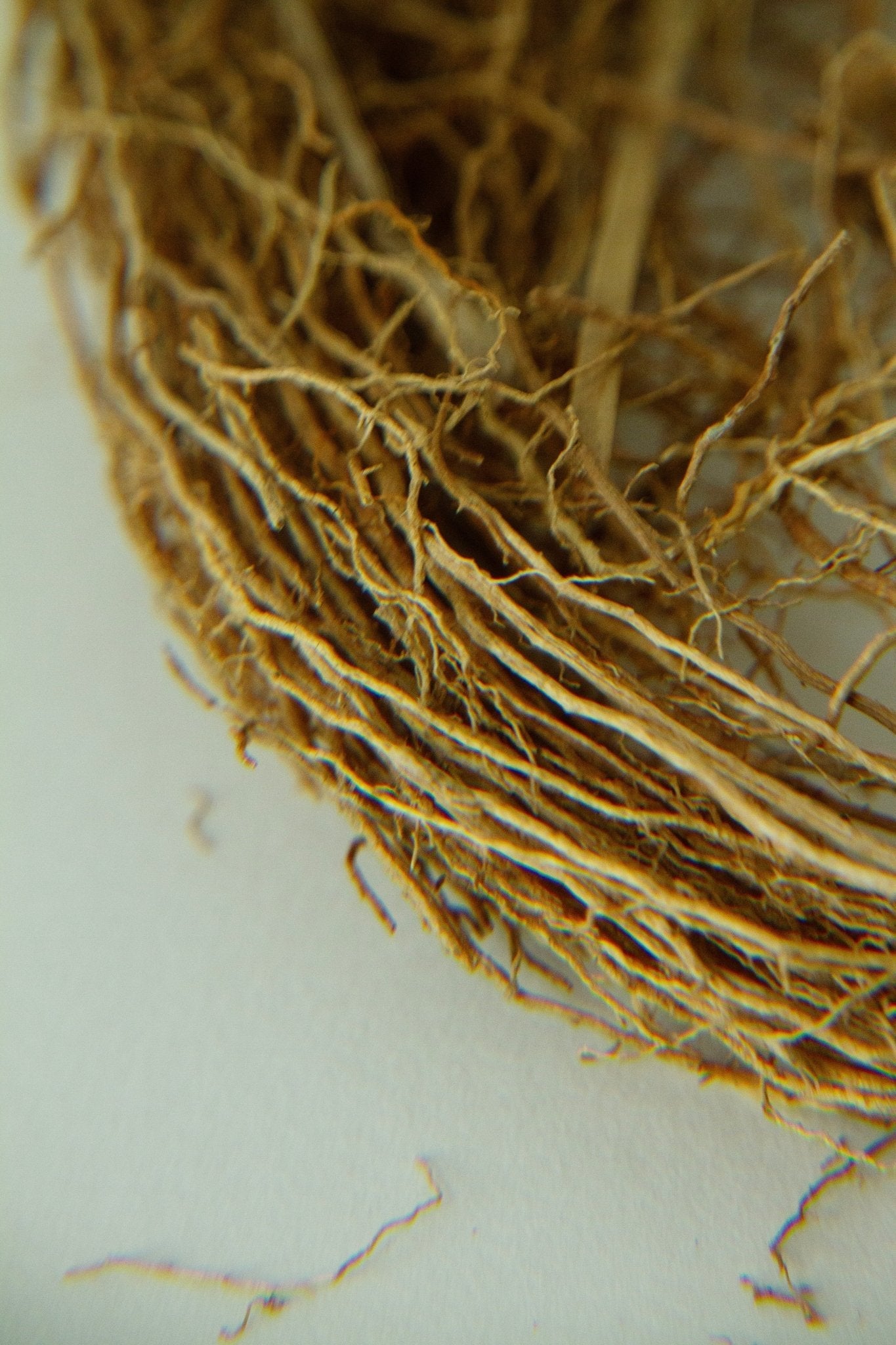Vetiver Sphere Soap-9