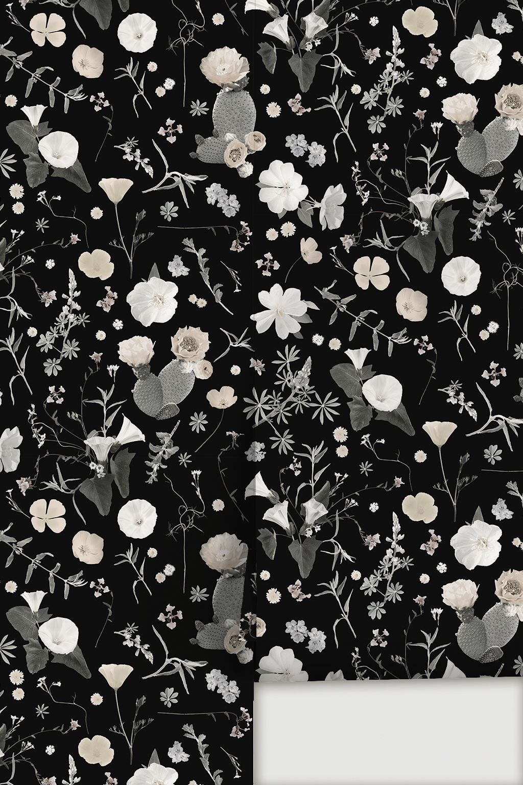 California Native Wallpaper, black and white