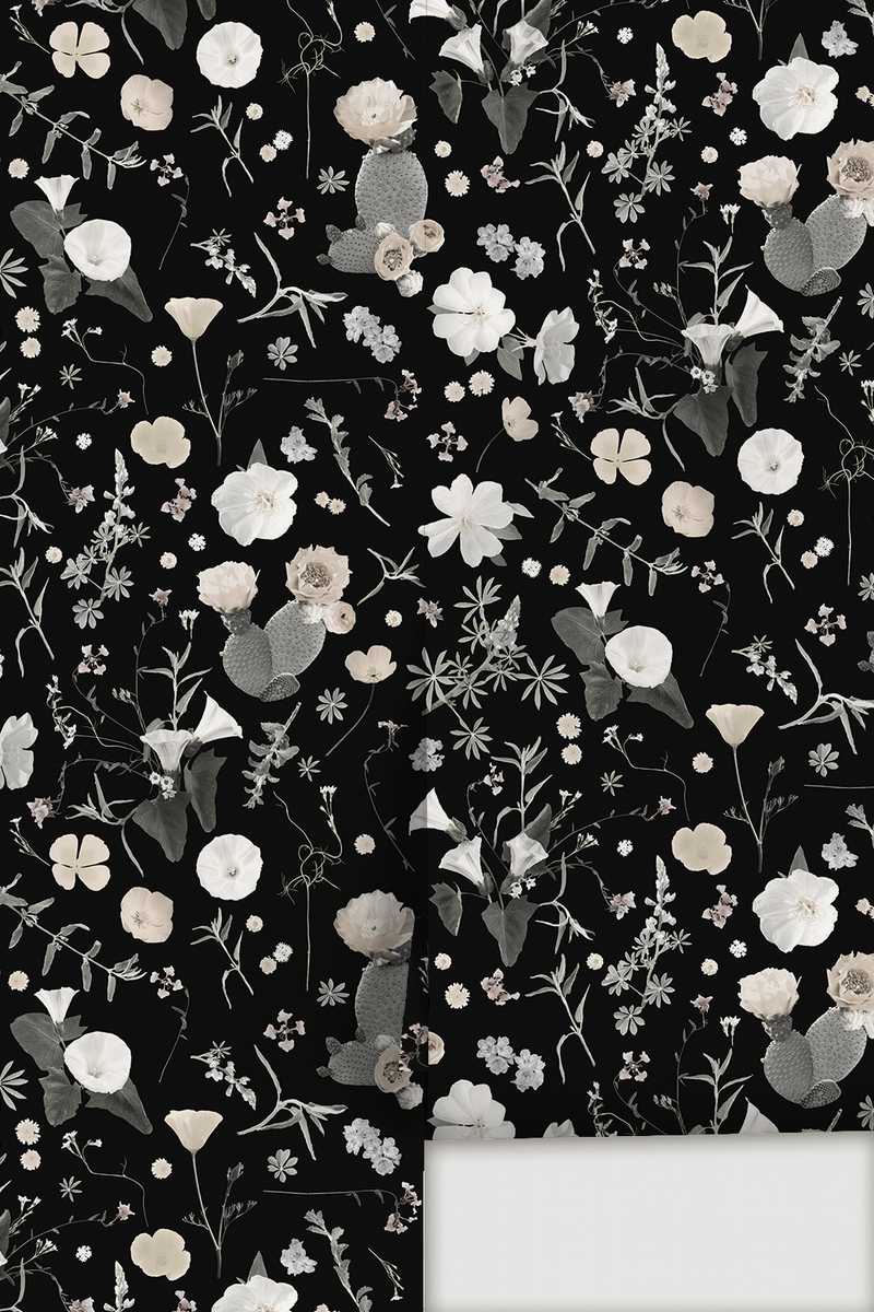 California Native Wallpaper, black and white-zoom-