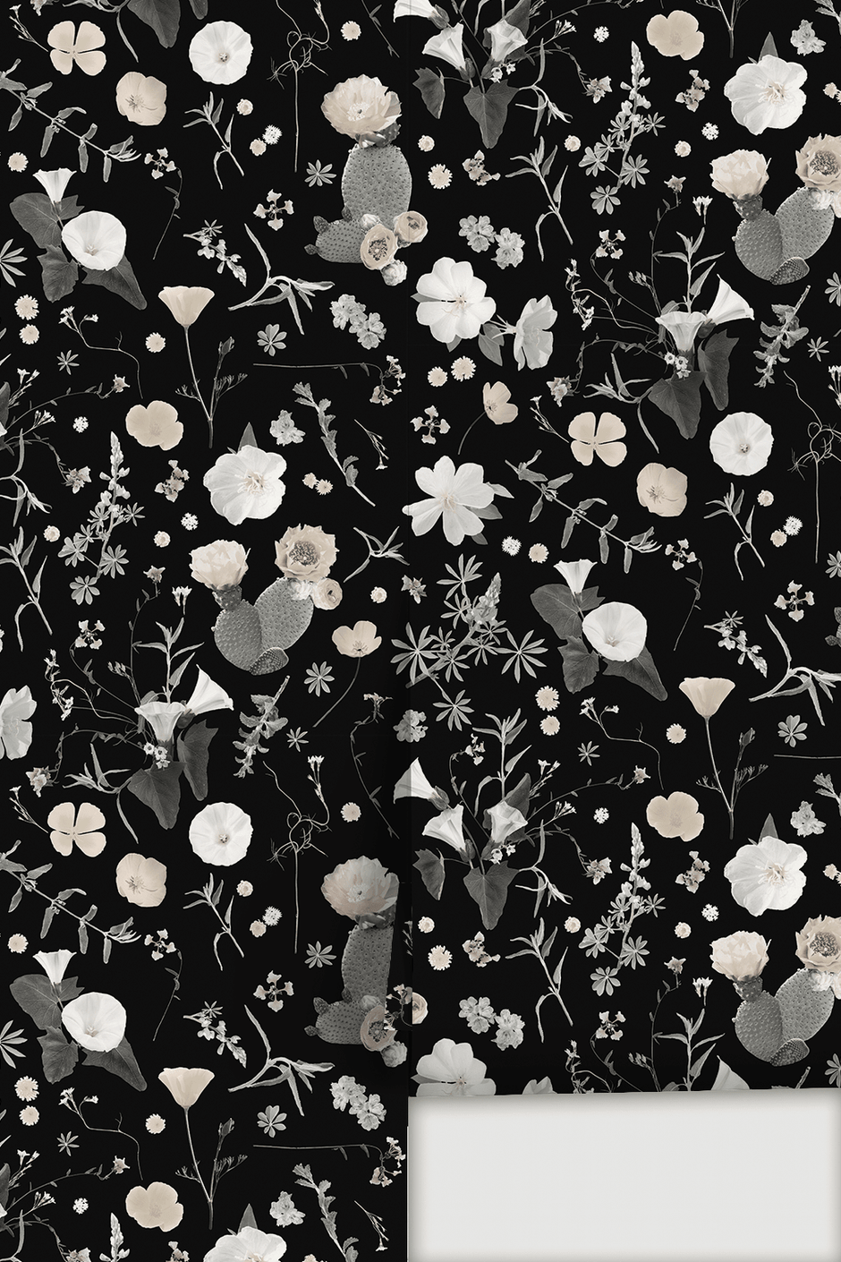 California Native Wallpaper, black and white - Aware House - Samantha Santana Creative -