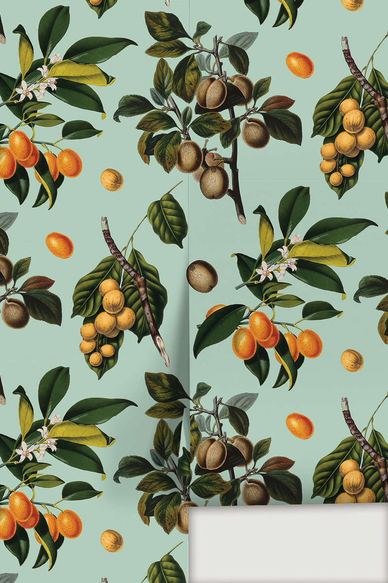 Vintage Orchard Wallpaper, robin egg-zoom-