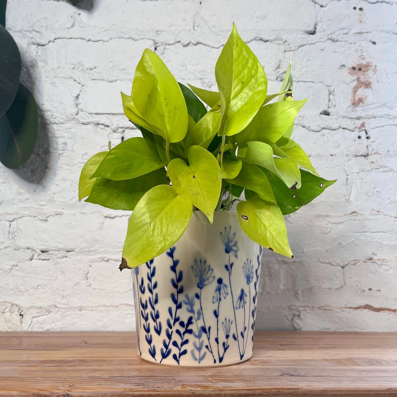 wildflower potted plants Wildflower Planter Pot by Rise & Shine Ceramic