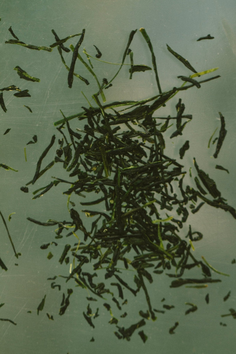 Yuzu & Sencha Soap-zoom-