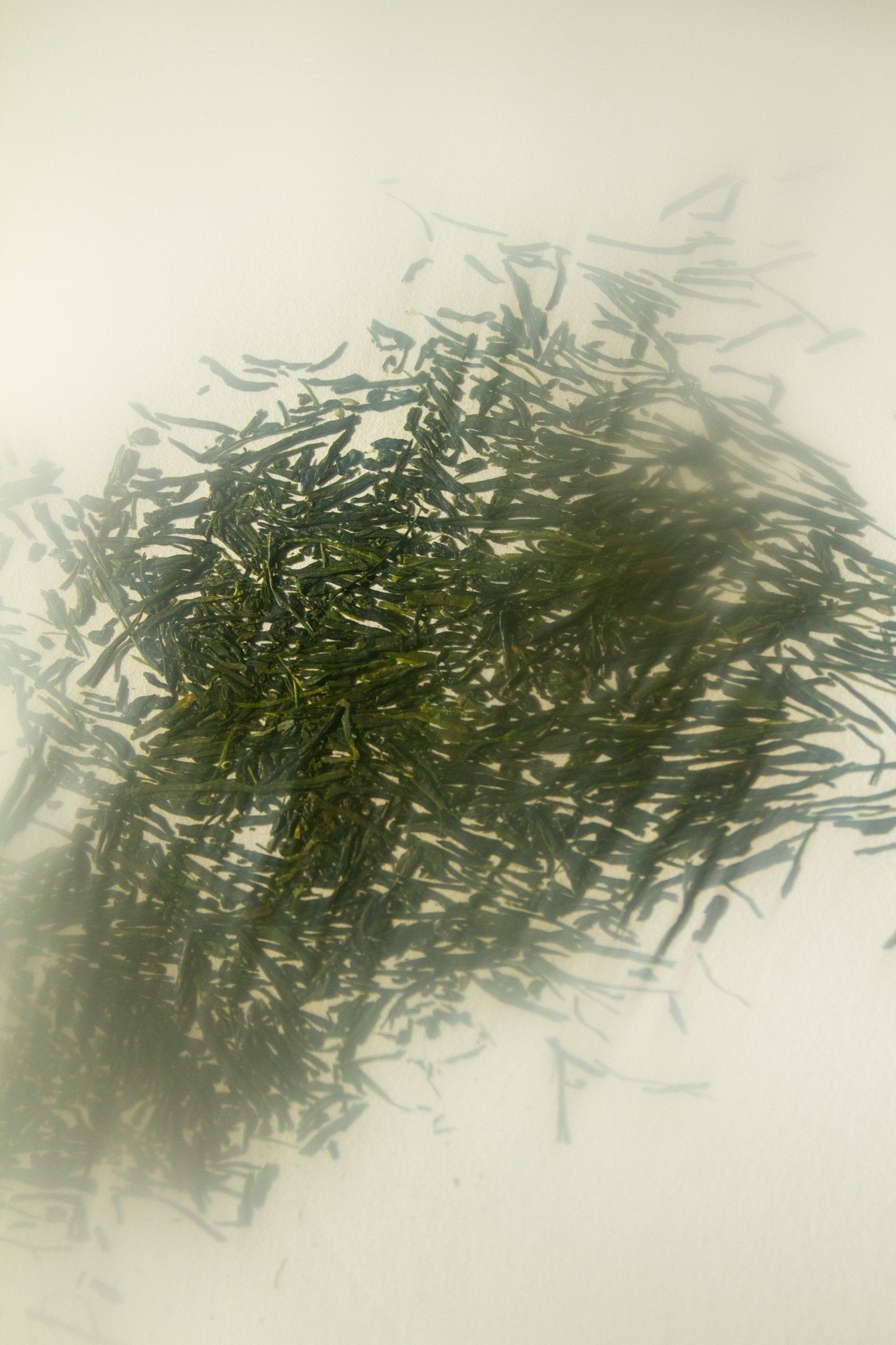 Yuzu & Sencha Soap-10