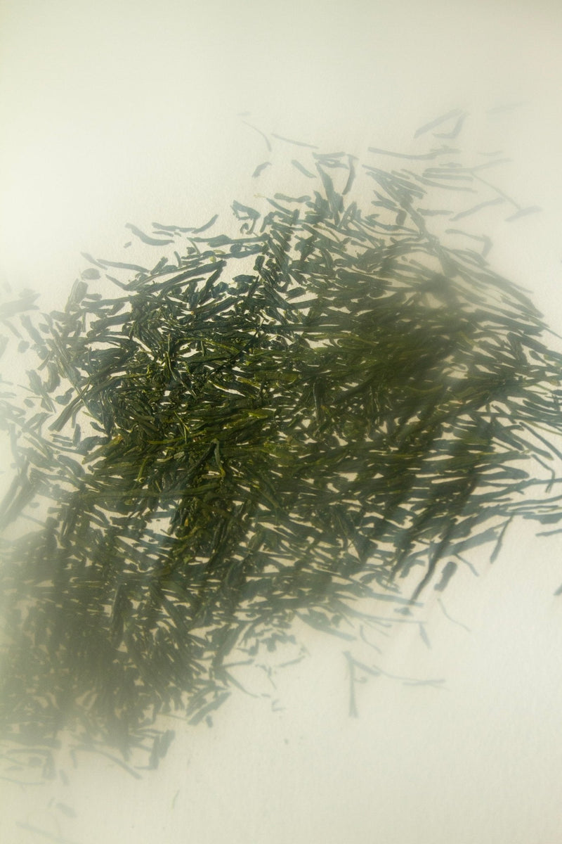 Yuzu & Sencha Soap-zoom-